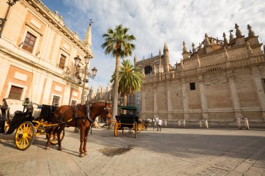 Seville, Pazar yeri tarihi mimari görünümünü