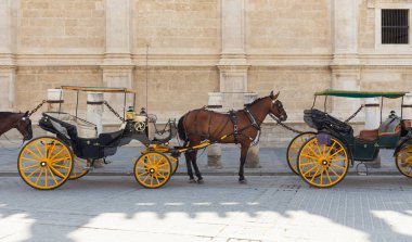Atlı arabaları Seville Katedrali surlarının altında