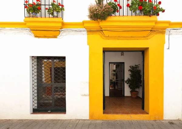 Bitkiler ile sıcak tarzı bir evi önü