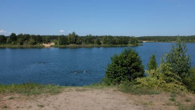 Ormanda, manzara pitoresk göl