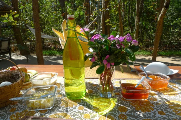 Picknick Och Frukost Utsidan — Stockfoto