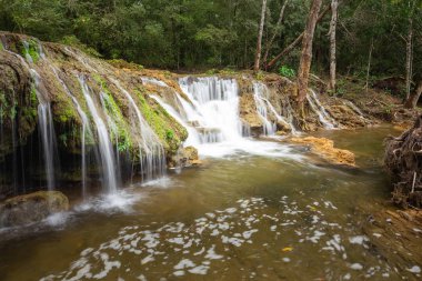 bir yağmur ormanlarında güzel şelale / peyzaj