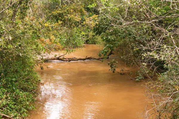 Río Que Fluye Través Selva Paisaje —  Fotos de Stock