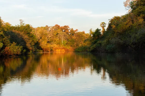 Puesta Sol Sobre Río Que Fluye Bosque —  Fotos de Stock