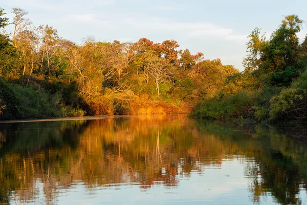günbatımı ormanda akan nehri