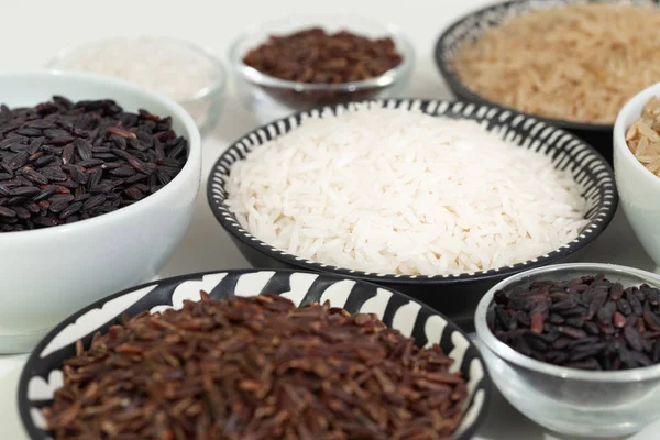 different varieties of raw rice