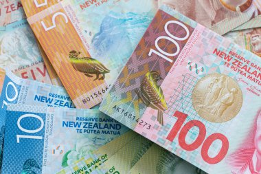 Yeni Zelanda dolar para