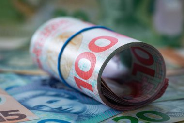 Yeni Zelanda Doları görünümünü