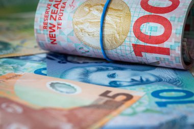 Yeni Zelanda Doları görünümünü