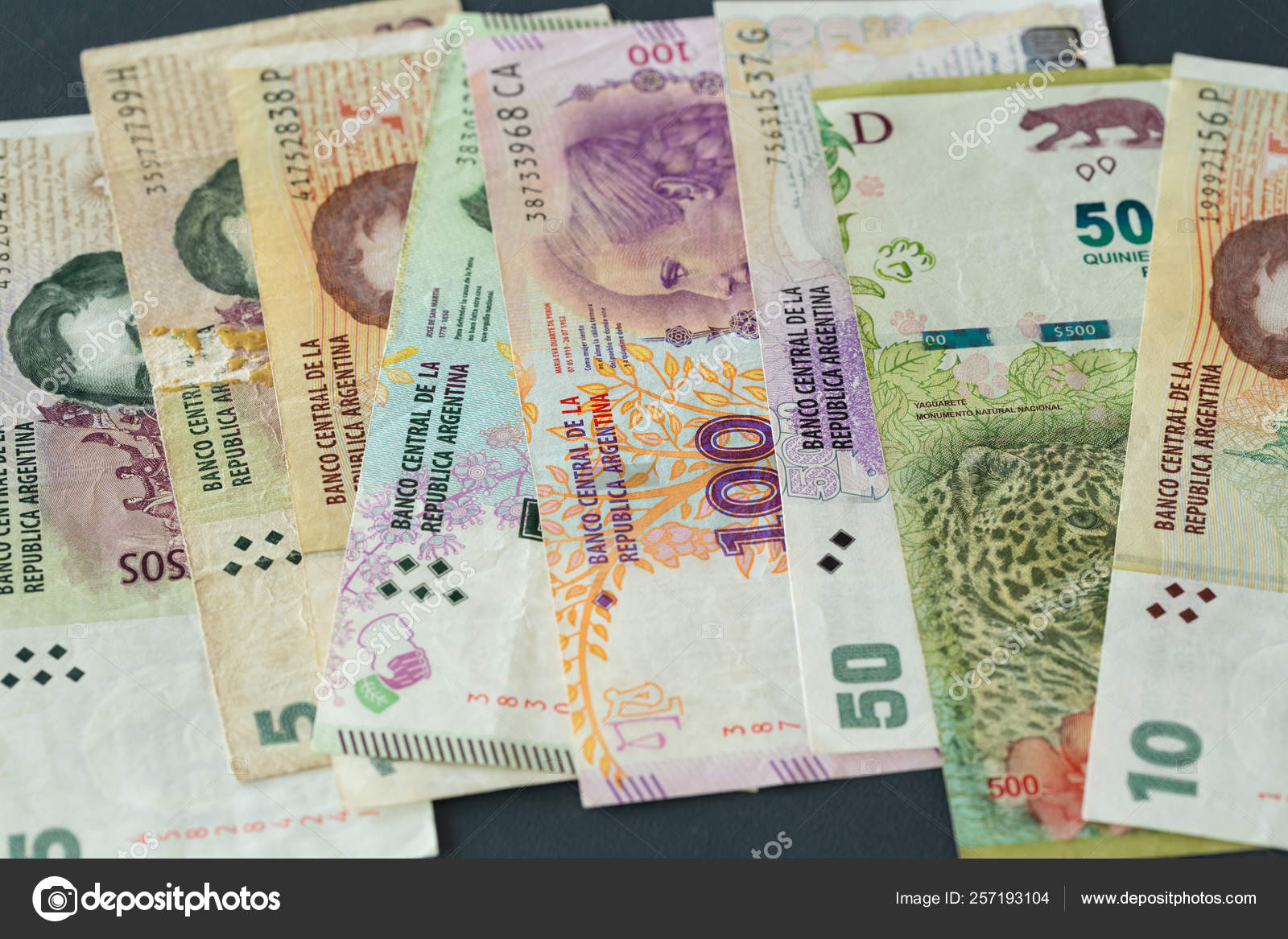 阿根廷货币比索的看法——图库图片© rochu_2008 #257193104