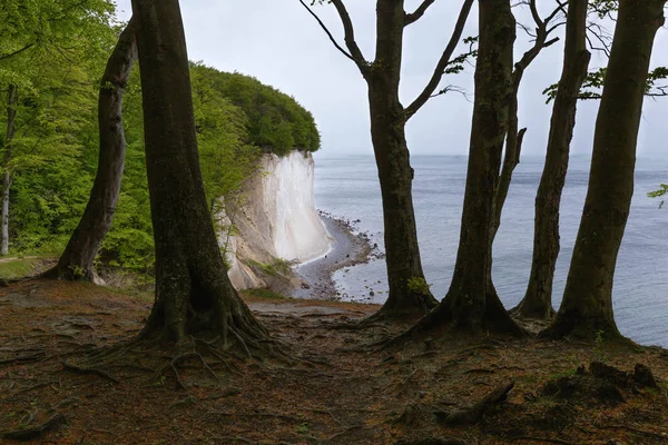 Küstenlandschaft Und Ostsee Jasmund Nationalpark Auf Rügen Deutschland — Stockfoto