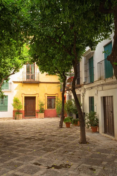 Sevilla Španělsko Architektury Čtvrti Barrio Santa Cruz — Stock fotografie