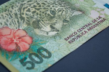 Arjantin para, peso görünümü