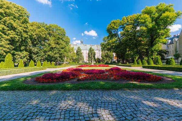 Poznań Poprzednie Stanowisko Collegiate Jesuit Architektura Historyczna — Zdjęcie stockowe