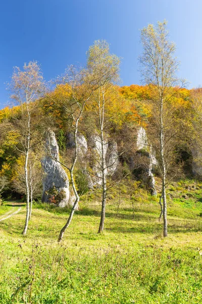 Ojcowski Park Narodowy Jesiennych Kolorach Krajobraz Górski Polska — Zdjęcie stockowe