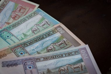 Moğolistan parası, Tugrik parası, çeşitli banknotlar.