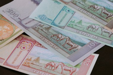 Moğolistan parası, Tugrik parası, çeşitli banknotlar.