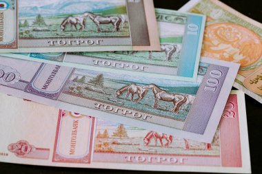 Moğolistan parası, Tugrik parası, çeşitli banknotlar.