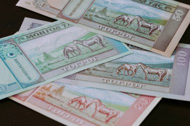 Moğolistan parası, Tugrik parası, çeşitli banknotlar.