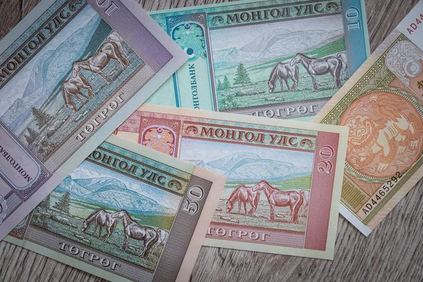 Mongolia Currency Tugrik Money Various Banknotes — Stock Photo, Image