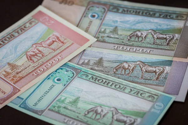 Mongólia Valuta Tugrik Pénz Különböző Bankjegyek — Stock Fotó