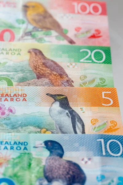 Divers Billets Nouvelle Zélande Fête Avec Oiseau Photo Verticale — Photo