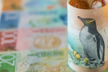Yeni Zelanda para birimi, 5 dolar değerinde sarı gözlü penguen, diğer banknotların arka planına sarılmış.