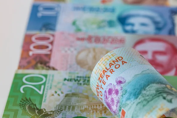 Валюта Новой Зеландии Деньги Стоимостью Долларов Желтоглазым Пингвином Свернуты Фоне — стоковое фото