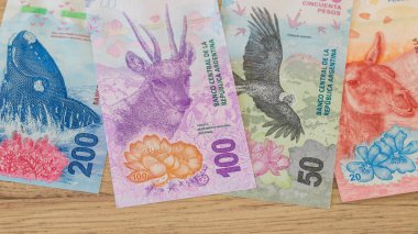 Arjantin para birimi, Peso, çeşitli kağıt banknotlar, yeni para birimi