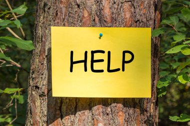 Ormandaki bir ağaca iliştirilmiş üzerinde 