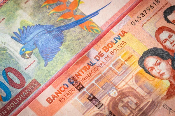 Bolivie Argent Billets Papier Une Valeur 100 Bolivianos Les Deux — Photo