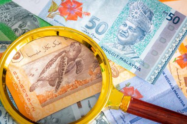 Malezya parası. Ringgit, üzerinde büyüteç olan kağıt banknotlar. Farklı değerler. İş ve bütçe kavramı