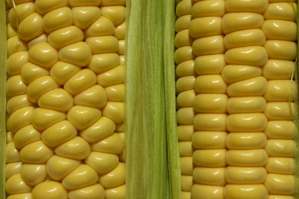 Cropped Shot Of Corn. Fresh Corn Close Up. Abstract Natural Background. Yellow Background. Fruits And Vegetables Background.