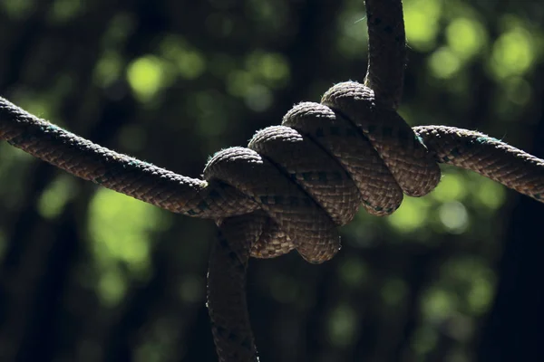 Touw Knoop Buitenshuis Abstracte Achtergrond Kleurrijke Achtergrond — Stockfoto