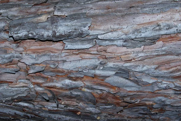 Streszczenie Background Wooden Texture Cropped Strzał Teksturowanej Tło Tle Drzewa — Zdjęcie stockowe