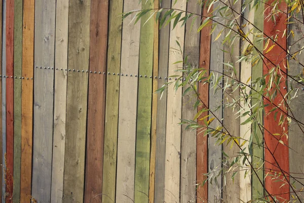 抽象背景五颜六色 五颜六色的木栅栏的短款拍摄 五彩木墙 木质背景纹理 — 图库照片