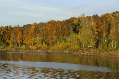 Doğa, seyahat, gölet kavramı. Güzel doğa arka plan. 