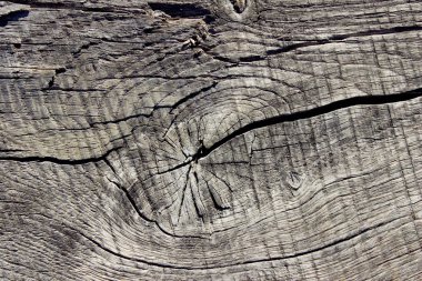 Ahşap doku dokulu bir arka plan Background.Cropped vurdu. Ağaç doku. Ağaç arka plan. Ağaç doku çatlamak. Doğa doku arka plan.