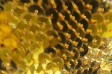 Altın arka plan bulanık. Soyut bulanık dokular arka plan. 