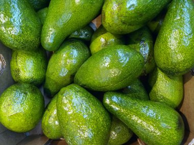 Sebze arka plan. Avokado piyasada grubudur. Yeşil arka plan. Yeşil avokado.