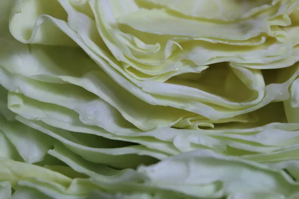 Абстрактная Красочная Фактура Фона Зеленая Природа Текстура — стоковое фото