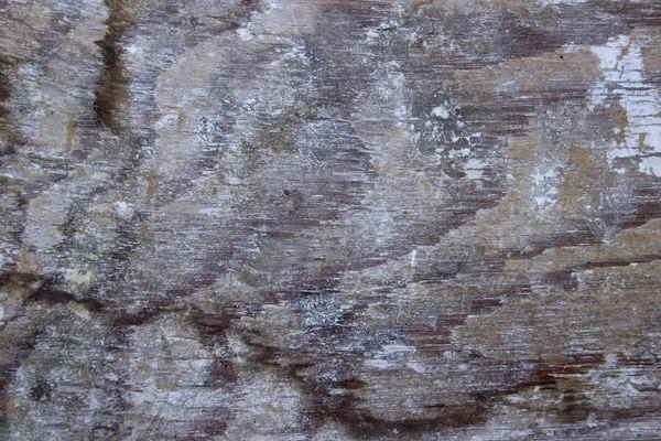 Nieostre Tekstury Drewniane Background Wooden Tekstury Podłoże Drewniane Natura Tekstura — Zdjęcie stockowe