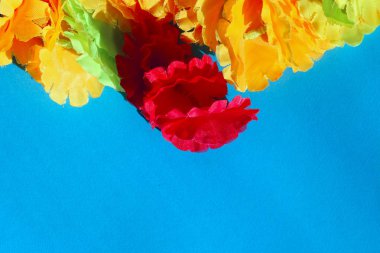  Çiçek çelenk. Hintli düğün çiçekleri, Diwali kadife çiçeği. Tipik Hint dekorasyon plastik çiçekler yaptım. Renkli arka plan. Mavi arka plan üzerinde canlı çiçekler.