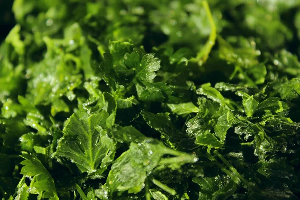 Frischen Grünen Hintergrund Konzept Für Gesunde Ernährung Grüner Natürlicher Hintergrund — Stockfoto