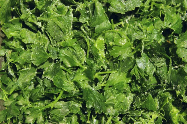 Frischen Grünen Hintergrund Konzept Für Gesunde Ernährung Grüner Natürlicher Hintergrund — Stockfoto