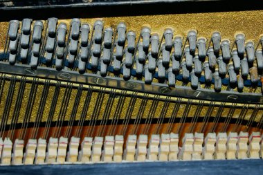 Atış piyano içinde kırpılmış. Bir piyano içinde karmaşık gizli mekaniği. Piyano dizeleri.