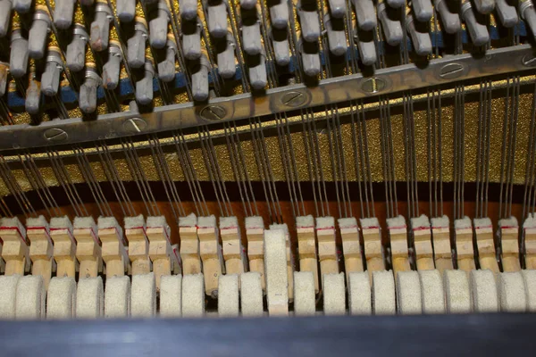 Cropped Shot Of Piano Inside. Complex Hidden Mechanics Inside A Piano. Piano Strings.