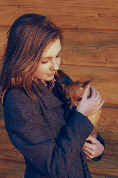 Young Girl Holding Little Dog Wooden Background Owner Pet Pretty — Stok fotoğraf