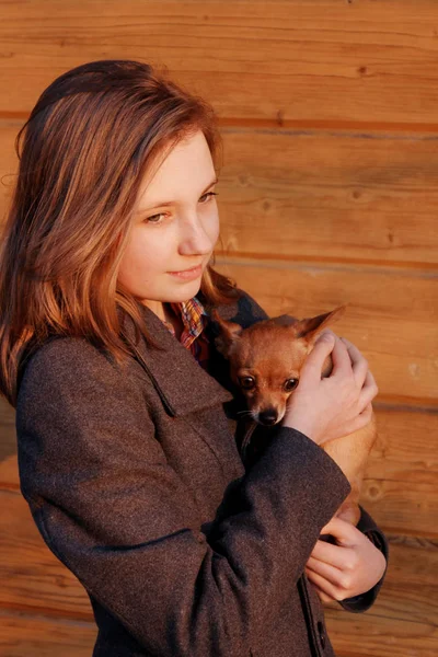 Young Girl Holding Little Dog Wooden Background Owner Pet Pretty — Stok fotoğraf