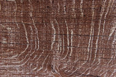 Tahta desenli dokular. Ahşap Doku Arkaplanı. Doğal Arkaplan.